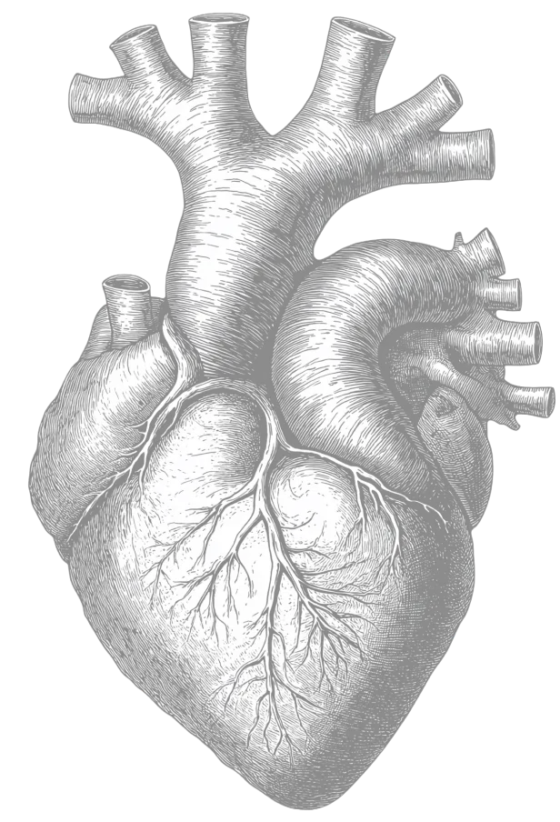 Corazon en tramado tipo serigrafia